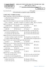 Đề khảo sát chất lượng học kì I môn Địa lý Lớp 11 - Mã đề 123 - Năm học 2019-2020 - Sở giáo dục và đào tạo Vĩnh Phúc